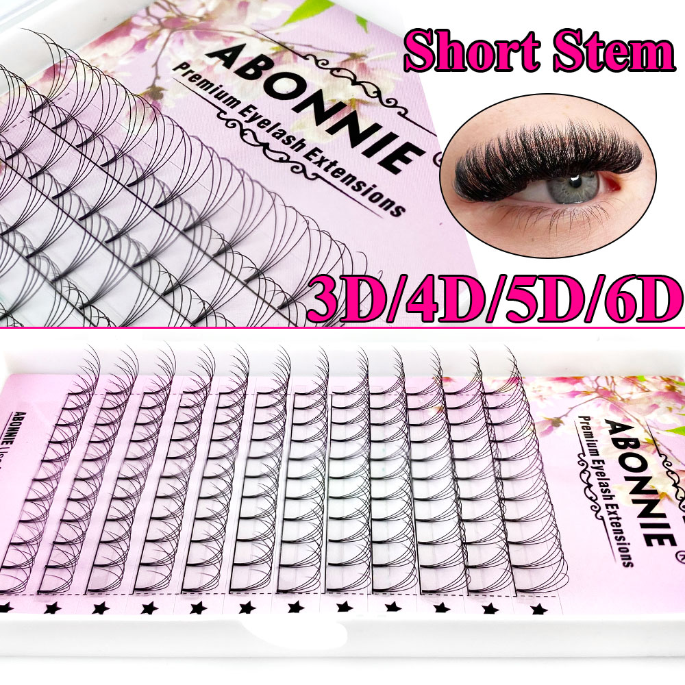 Abonnie 6D Abanicos Preformado - Eyelash Extension Russian reseña y precio